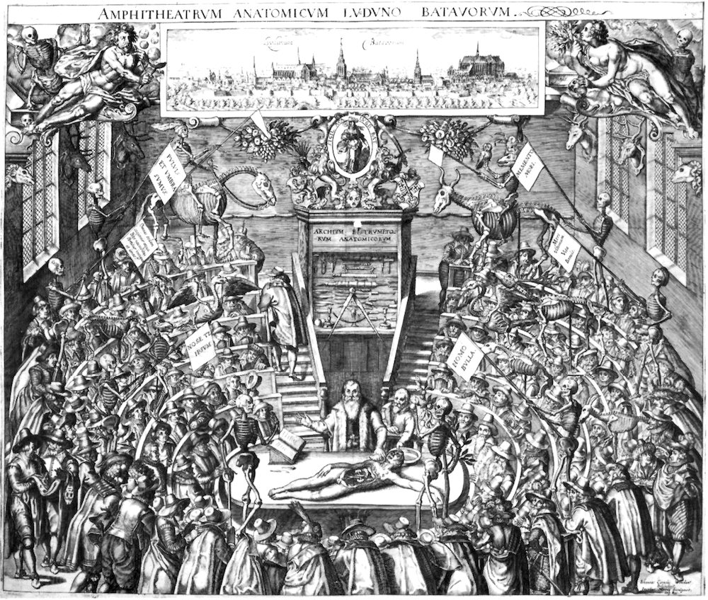 Imagen 4: Bartholomeus Dolendo, Teatro Anatomicum de Leiden, grabado, 1609, Rijks Prentenkabinet, Ámsterdam